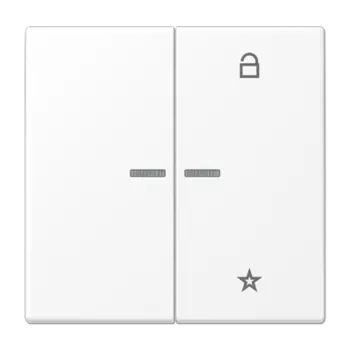 LS1701WWM белоснежный матовый Центральная плата универсальная Jung LS серия