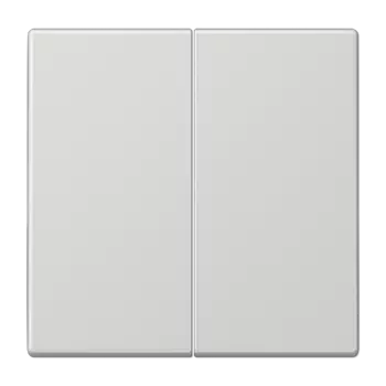 LS1702LG светло-серая Центральная плата 2 группы стандарт для LB вставки «освещение» Jung LS серия