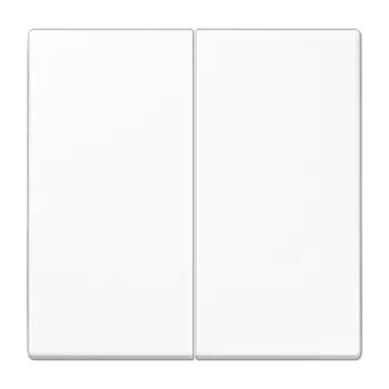 LS1702WW белая Центральная плата 2 группы стандарт для LB вставки «освещение» Jung LS серия