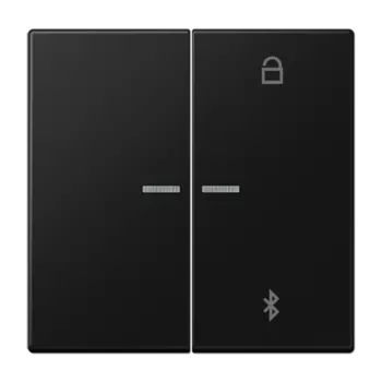 LS1751BTSWM матовый чёрный графит Таймер универсальный Bluetooth Jung LS серия