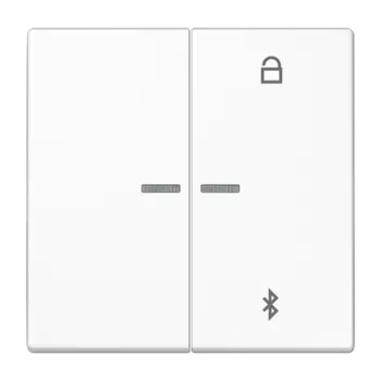 LS1751BTWW белый Таймер универсальный Bluetooth Jung LS серия