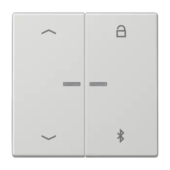 LS1751PBTLG светло-серый Таймер универсальный Bluetooth «стрелки» Jung LS серия