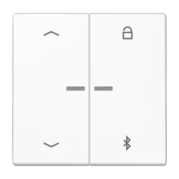 LS1751PBTWW белый Таймер универсальный Bluetooth «стрелки» Jung LS серия