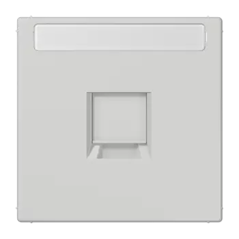 LS1969-1NAWELG светло-серая Kрышка (фиксация защёлкиванием) с полем для надписи для модульных гнёзд UMA-CAT6A Jung LS серия