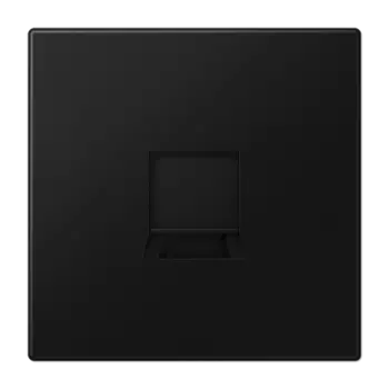 LS1969-1WESWM Kрышка для модульных гнёзд UMA-CAT6A матовый чёрный графит Jung LS серия