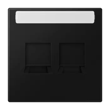 LS1969-25NAWESWM матовый чёрный графит Kрышка с полем для надписи для модульных гнёзд AMP NETCONNECT Jung LS серия