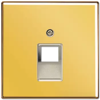 LS969-1UAGGO LS 990 Золото Накладка 1-ой наклонной ТЛФ/комп розетки Jung LS серия