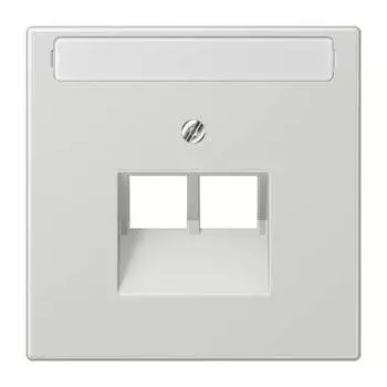 LS969-2NAUALG LS 990 Светло-серый Накладка 2-ой наклонной ТЛФ/комп розетки с полем для надписи Jung LS серия