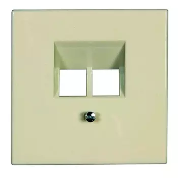 LS969-2UA LS 990 Бежевый Накладка 2-ой наклонной ТЛФ/комп розетки Jung LS серия