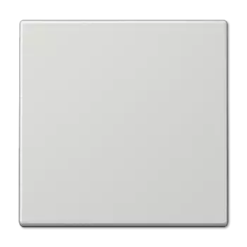 LS990LG LS 990 Светло-серый Клавиша 1-я Jung LS серия