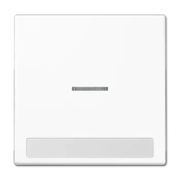 LS990NAKO5WW LS 990 Клавиша для контрольного выключателя Jung LS серия