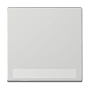 LS990NALG LS 990 Светло-серый Клавиша 1-я с полем для надписи Jung LS серия