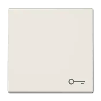 LS990T LS 990 Бежевый Клавиша 1-я с символом "КЛЮЧ" Jung LS серия