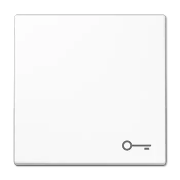 LS990TWW LS 990 Белый Клавиша 1-я с символом "КЛЮЧ" Jung LS серия