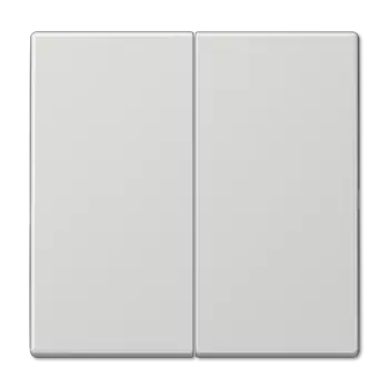 LS995LG LS 990 Светло-серый Клавиша 2-я Jung LS серия