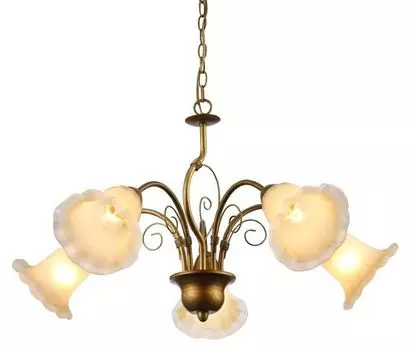 Люстра подвесная Arte Lamp Mormorio A9361LM-5BR