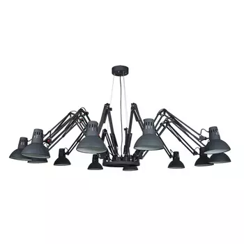 Люстра подвесная Arte Lamp Ragno A2043SP-12BK