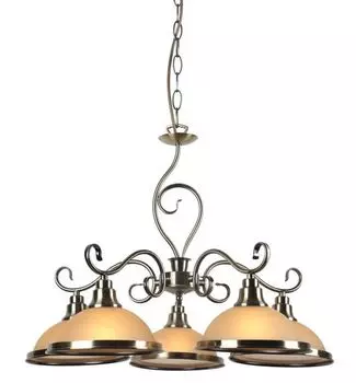 Люстра подвесная Arte Lamp Safari A6905LM-5AB