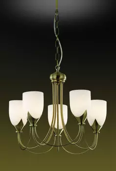 Люстра подвесная Odeon Light Risto 2079/5