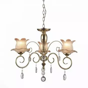 Люстра подвесная ST Luce Pianta SL668.203.03