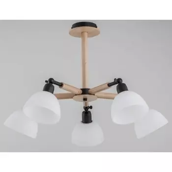 Люстра потолочная Alfa Bushwick 27005