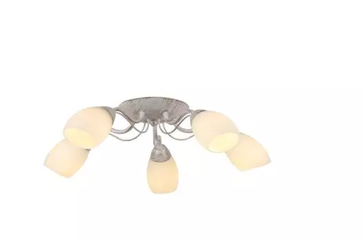 Люстра потолочная Arte Lamp Carlo A8105PL-5WG