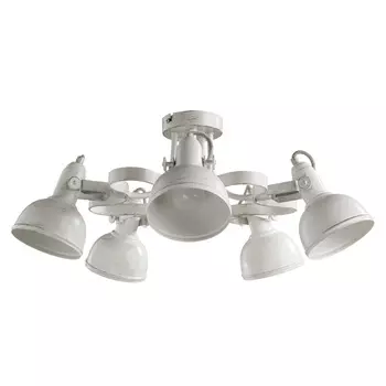 Люстра потолочная Arte Lamp Martin A5216PL-5WG