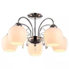 Люстра потолочная Arte Lamp Millo A9548PL-5CC
