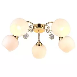 Люстра потолочная Arte Lamp Millo A9549PL-5GO