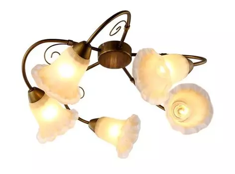 Люстра потолочная Arte Lamp Mormorio A9361PL-5BR