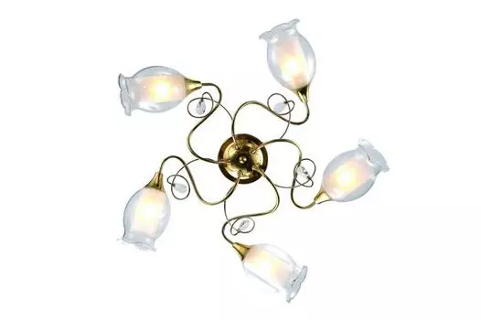 Люстра потолочная Arte Lamp Mughetto A9289PL-5GO