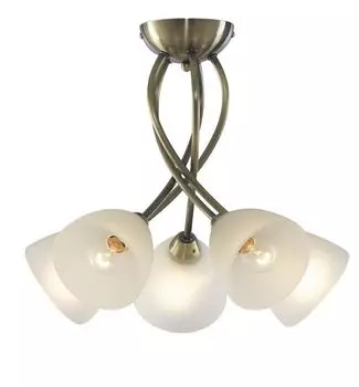 Люстра потолочная Arte Lamp Nikki A2576PL-5AB