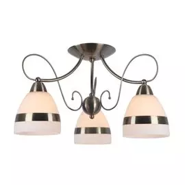 Люстра потолочная Arte Lamp Noemi A6192PL-3AB