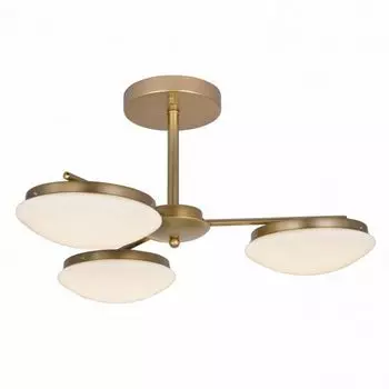 Люстра потолочная F-Promo Ledante 2476-3P