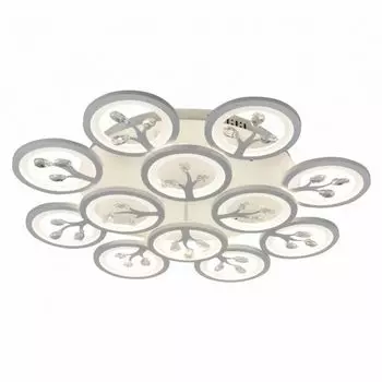 Люстра потолочная F-Promo Ramus 2390-12U