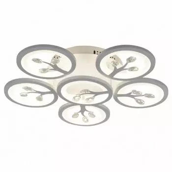 Люстра потолочная F-Promo Ramus 2390-6U