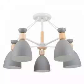 Люстра потолочная Freya Delia FR5033CL-05W