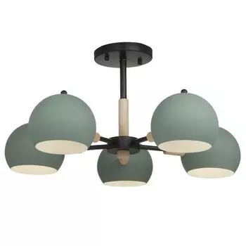 Люстра потолочная Freya Trisha FR5032CL-05B