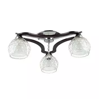 Люстра потолочная Lumion Ampolla 3081/3C