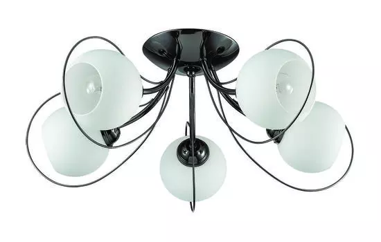 Люстра потолочная Lumion Aria 3083/5C