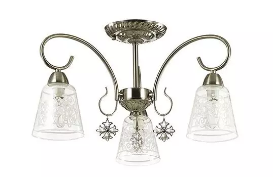 Люстра потолочная Lumion Barnibbo 3469/3C