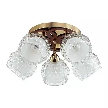 Люстра потолочная Lumion Federro 3057/5C