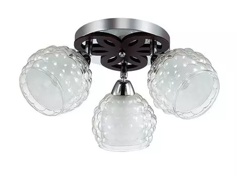 Люстра потолочная Lumion Federro 3058/3C