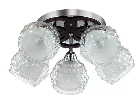 Люстра потолочная Lumion Federro 3058/5C