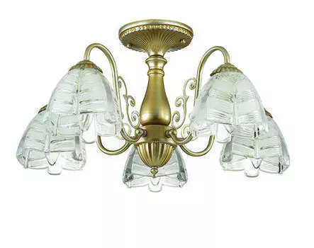 Люстра потолочная Lumion Jelis 3460/5C