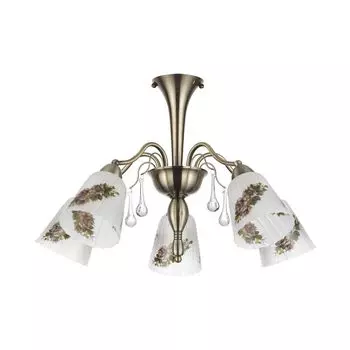 Люстра потолочная Lumion Paessaggio 3618/5C