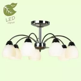 Люстра потолочная Lussole Apiro GRLSF-2403-07