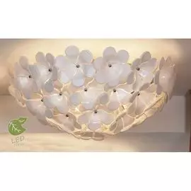 Люстра потолочная Lussole Asinara GRLSA-5107-05