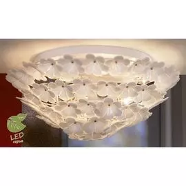 Люстра потолочная Lussole Asinara GRLSA-5107-09