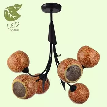 Люстра потолочная Lussole Bagheria GRLSF-6203-06